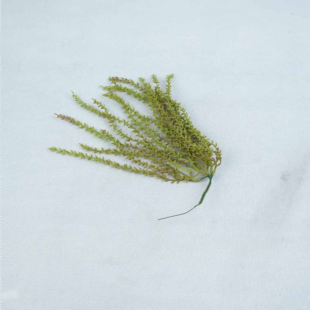 گل رونده وارداتی