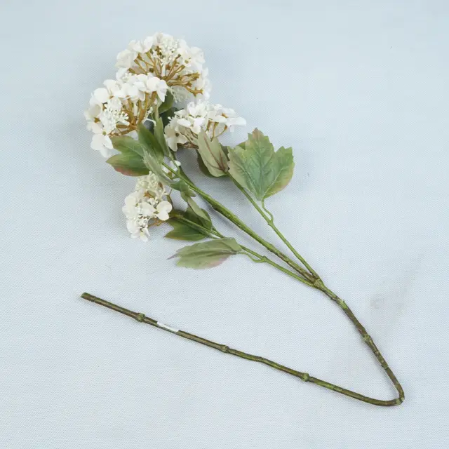یاس سفید وارداتی