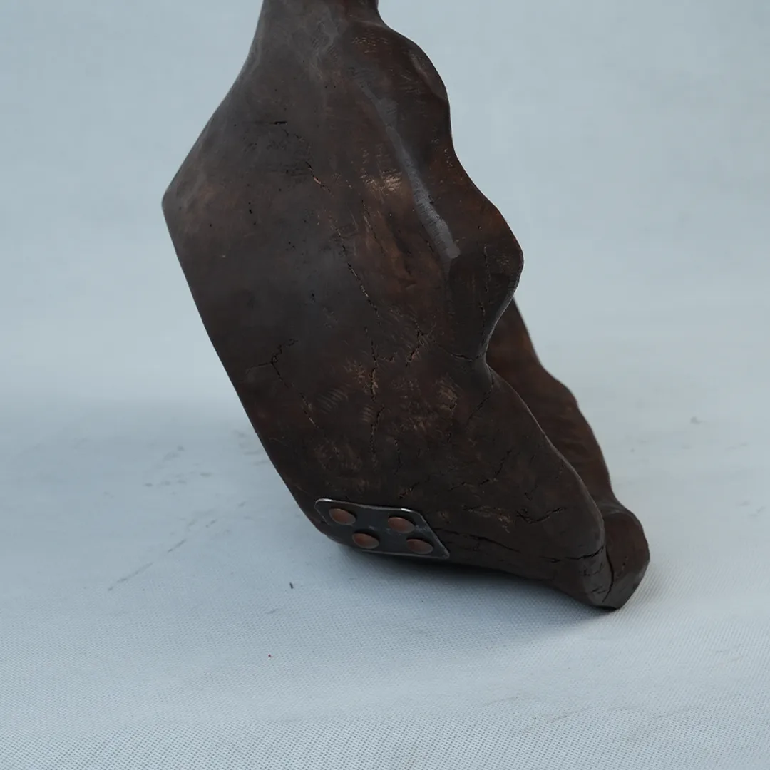 ظرف دفرمه تکنسخه چوب گردو یکتکه — عکس ۴